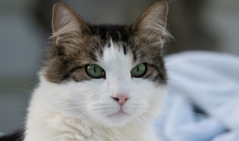 Marly-Portrait