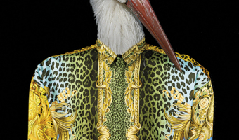 Adebar-von-Koenigstein